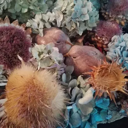 Casa Da Varanda * Vila Real