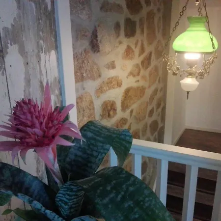 Casa Da Varanda Daire Vila Real