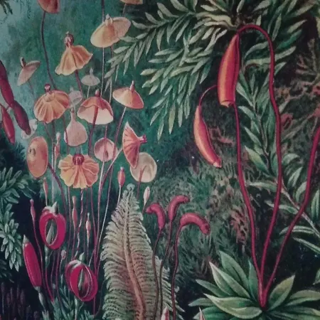 Casa Da Varanda Vila Real