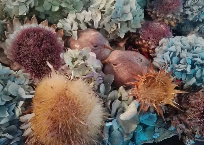 Casa Da Varanda * Vila Real