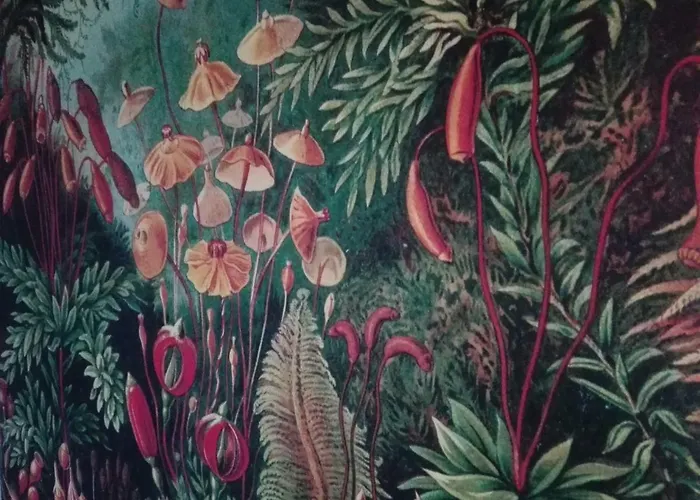 Casa Da Varanda 빌라레알